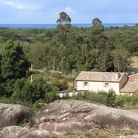 OLardoMar-3